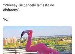 Enlace a Con lo que me ha costado venir