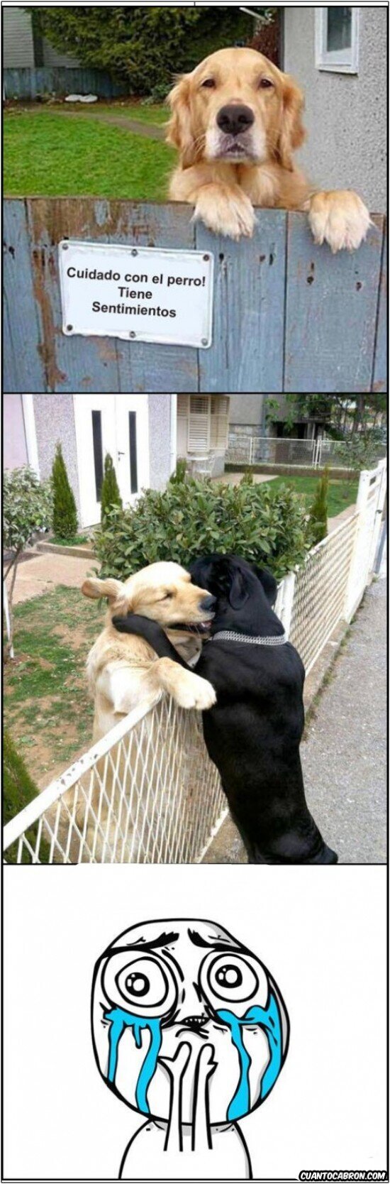 Otros - Cuidado con el perro : no es por lo que imaginas...