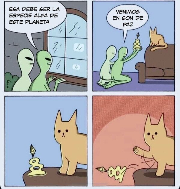 Meme_otros - Ofrenda rechazada