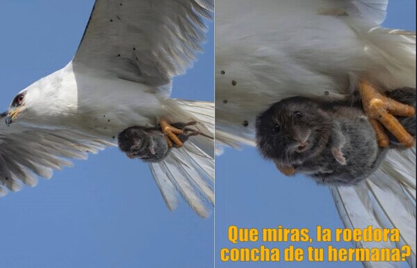 Otros - No es un momento fácil para él