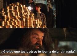 Enlace a No dejaron pistas