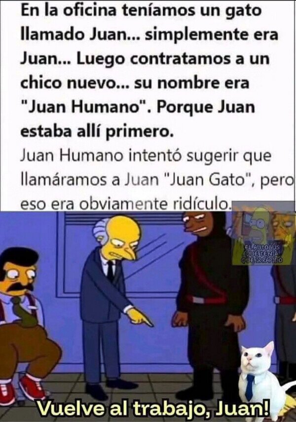 Meme_otros - En la oficina ya había un Juan