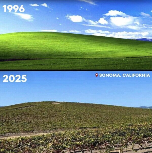 Meme_otros - El mundo es un lugar peor al que conocíamos