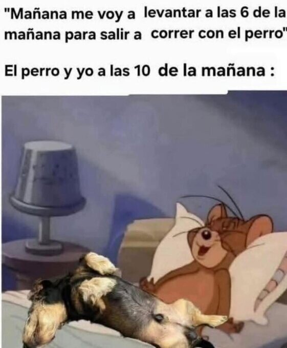 Meme_otros - Se está tan bien en la camita...