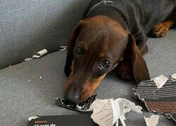 Enlace a No le ha funcionado