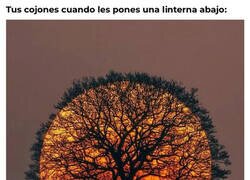 Enlace a Por si no lo habías probado