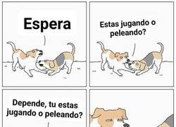 Enlace a La eterna duda