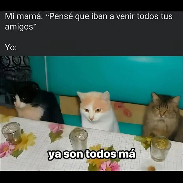 CC_2821817_29785aed01754eafa1fb401bbdef7c65_otros_celebracion_con_los_mios.jpg