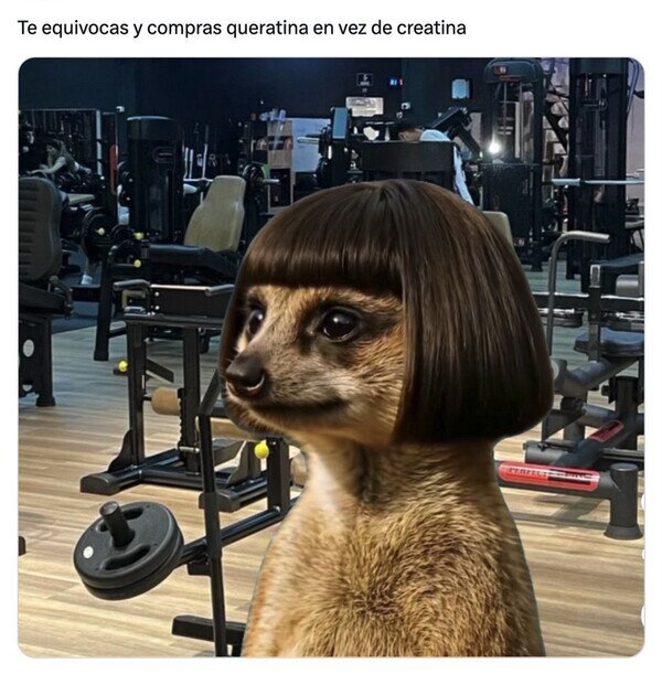 CC_2821844_b542328b919148e2a44f45d0b6c29b4d_meme_otros_pequena_confusion.jpg