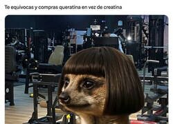 Enlace a Pequeña confusión