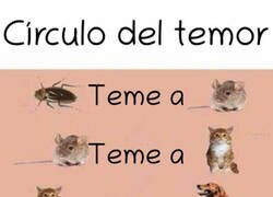 Enlace a El círculo del temor