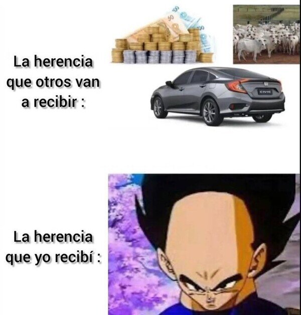 CC_2821878_d32e4deabd90463b85d3cb011a277567_meme_otros_mi_reluciente_herencia.jpg