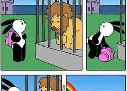 Enlace a ¡Libertad!