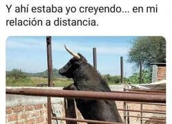 Enlace a Mucho cuerno en una sola foto