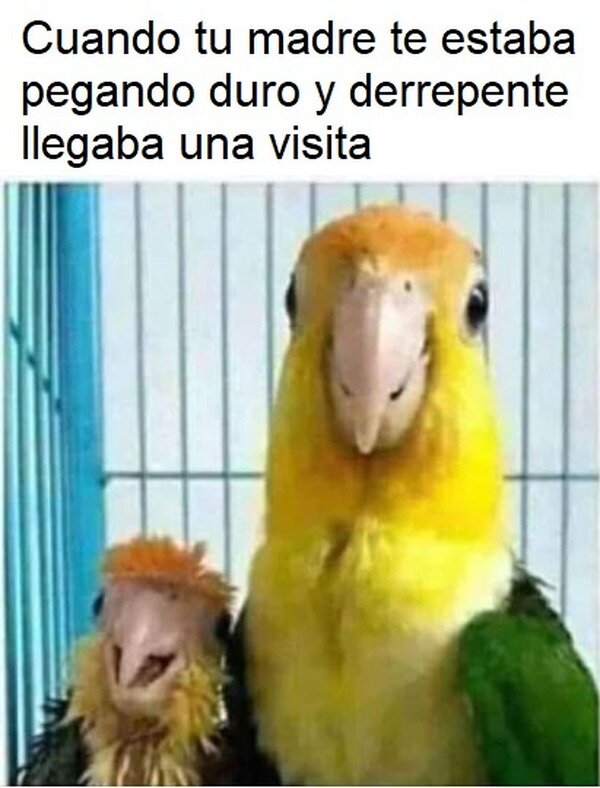 Meme_otros - Como nos desplumaban