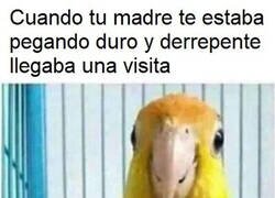 Enlace a Como nos desplumaban