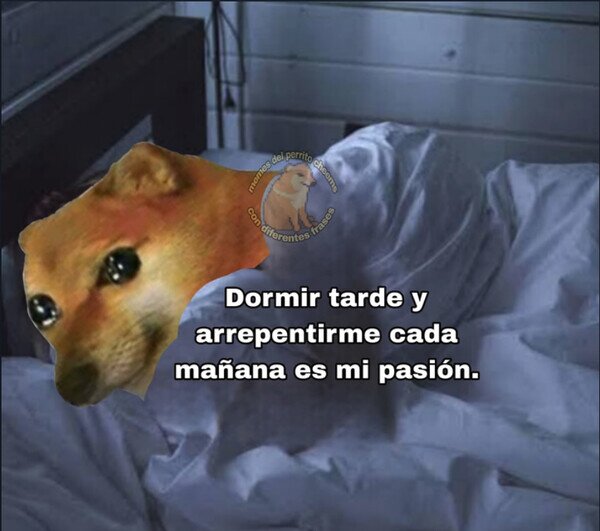 CC_2821941_dda4624be09d47308f06842ea3114fec_otros_mi_rutina_de_todos_los_dias.jpg