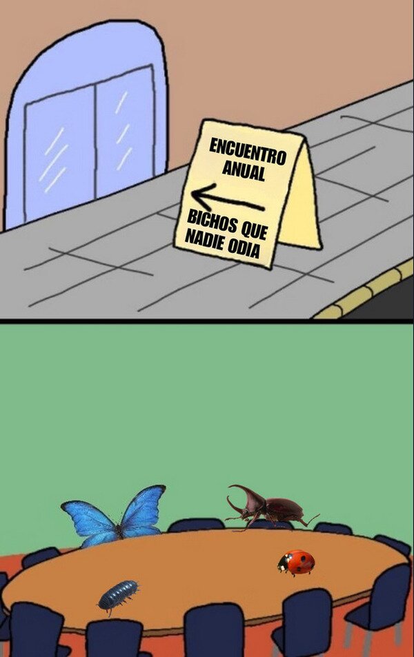 CC_2821960_8573d58f21e44fcba01a480926b42942_meme_otros_insectos_adorables.jpg