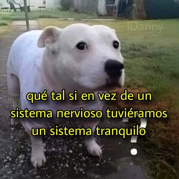 CC_2821963_48daecf4b12a461a8674d95c0cd583aa_meme_otros_a_todos_nos_iria_mejor.jpg