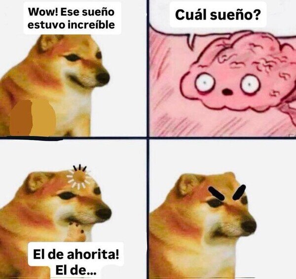 Meme_otros - ¿Por qué los sueños son tan olvidadizos?