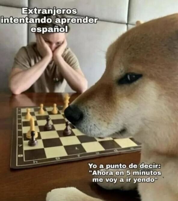 Meme_otros - Como buguear a un extranjero