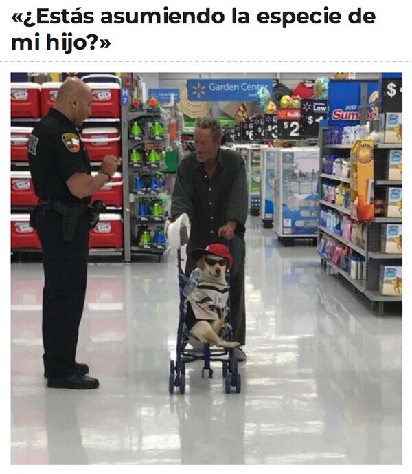 Otros - Este perro se siente un niño humano molón