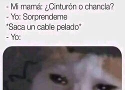 Enlace a Amplio abanico de castigos