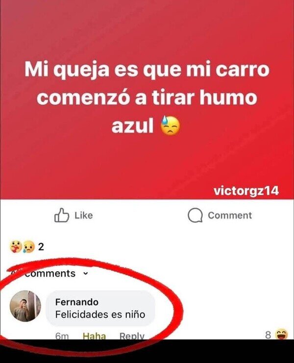 Otros - Les quedó raro el gender reveal