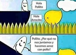 Enlace a Pollito & Arrocito