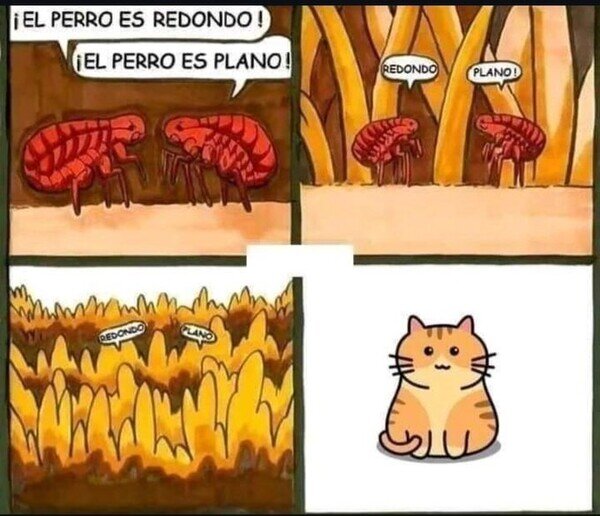 Meme_otros - Ninguno tiene razón