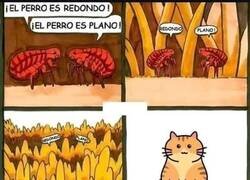 Enlace a Ninguno tiene razón