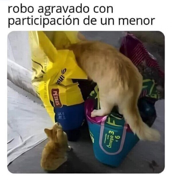 CC_2822210_78603e4b4c81438e8fa293cdbfe04263_otros_delito_grave.jpg