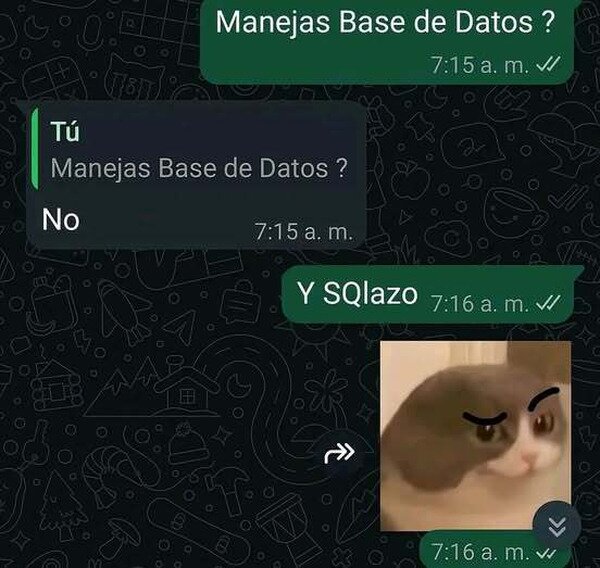Meme_otros - Un informático intentando ligar
