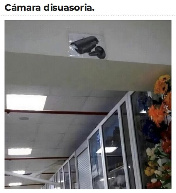 CC_2822221_d8d2f787626842c8abe4528accdca01d_meme_otros_no_habia_dinero_para_una_de_verdad.jpg