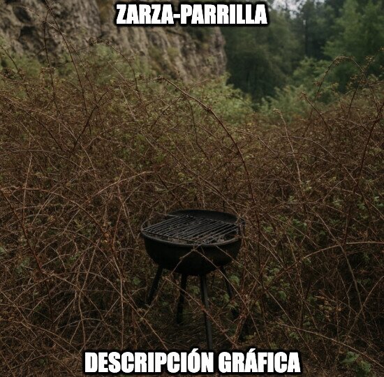 CC_0_1d5f648cd57c40478b8d74853920ef87_otros_la_zarzaparrilla.jpg