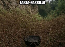 Enlace a La zarzaparrilla