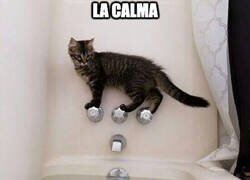 Enlace a Esto no acabará bien