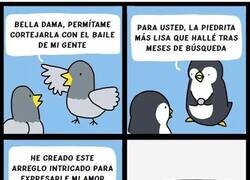 Enlace a Somos el animal con el peor cortejo
