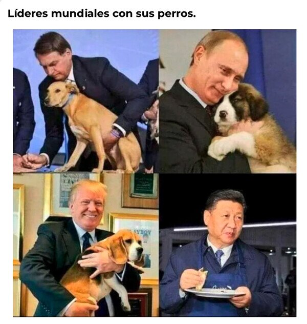 CC_2822463_dd318f07572a4842bac649fa53c49c44_meme_otros_disfrutando_de_sus_mascotas.jpg