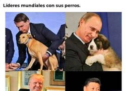 Enlace a Disfrutando de sus mascotas