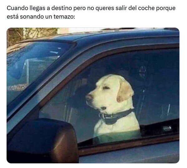 CC_2822479_b4593de0548745da8397e8864494ada1_meme_otros_me_quedo_hasta_que_acabe.jpg