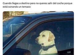 Enlace a Me quedo hasta que acabe