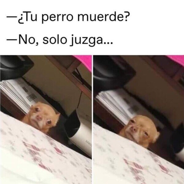 CC_2822489_f39b145af6314d8e9ab1828a7f779e7f_meme_otros_creo_que_es_bastante_peor.jpg