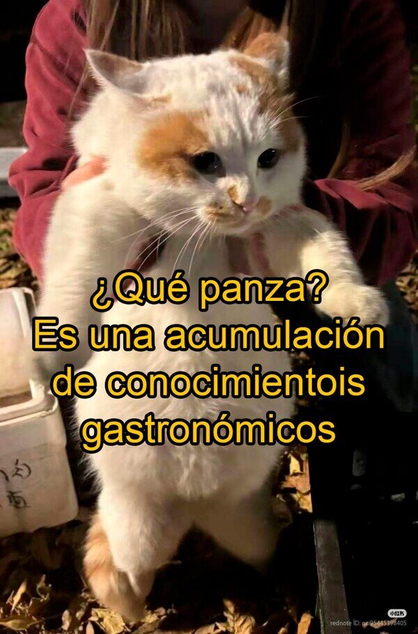 CC_2822543_dbc45027522e4219a166c7349e20df7d_otros_no_es_panza.jpg