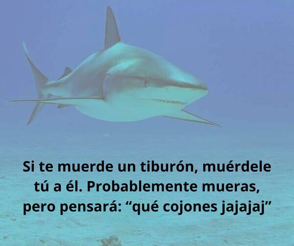CC_2822548_934040bcdc2049eaab4740e3c1f81308_otros_el_movimiento_que_no_se_espera.jpg