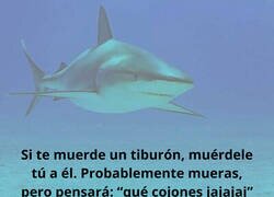 Enlace a El movimiento que no se espera