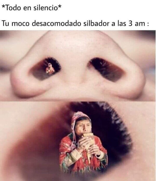 Otros - El moco silbador