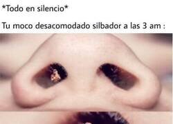 Enlace a El moco silbador