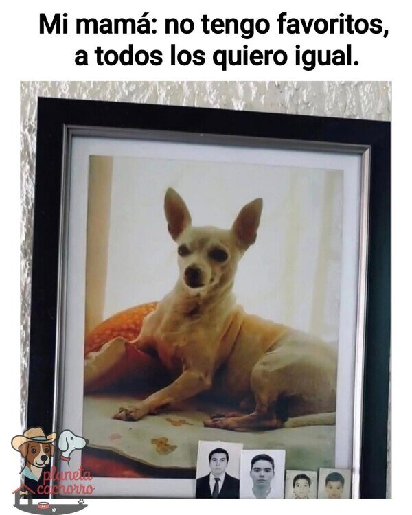 CC_2822552_daf81e6550124155b172917d632bd9e3_otros_el_ser_mas_querido.jpg