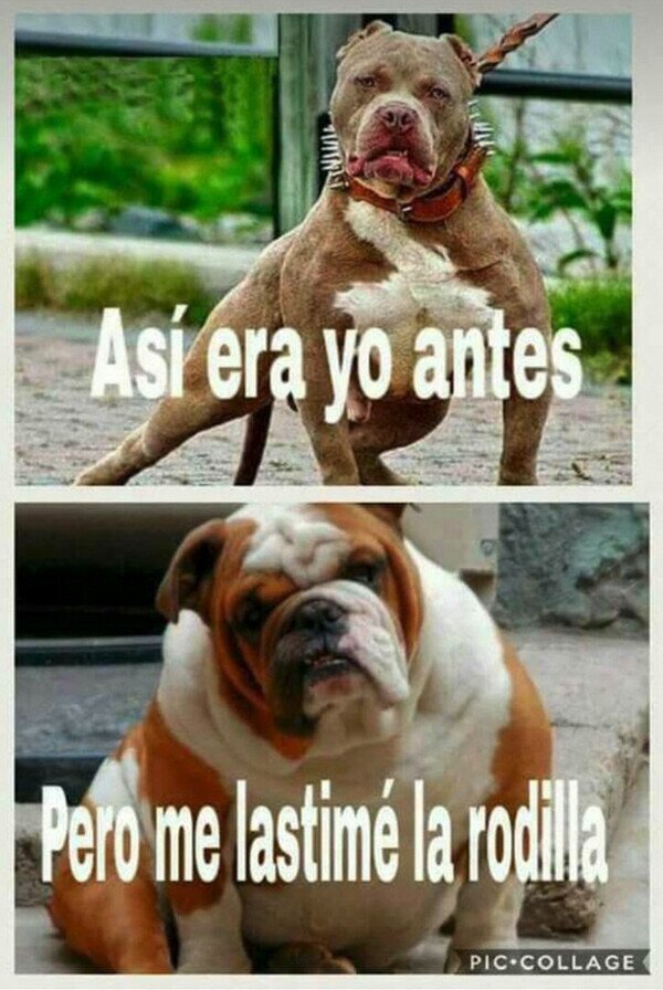 CC_2822555_64553a594f564c7597ff451eb5713065_meme_otros_despues_de_eso_no_se_remonta.jpg